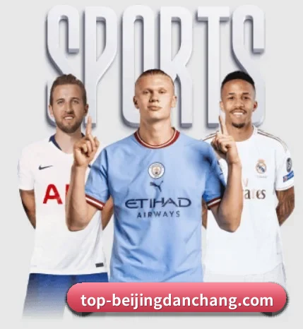北京单场围绕看球场景设计的核心服务